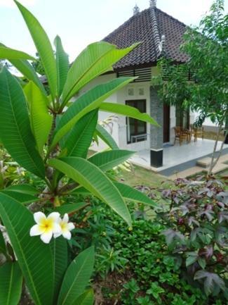 Bingin Family Bungalow Uluwatu Εξωτερικό φωτογραφία